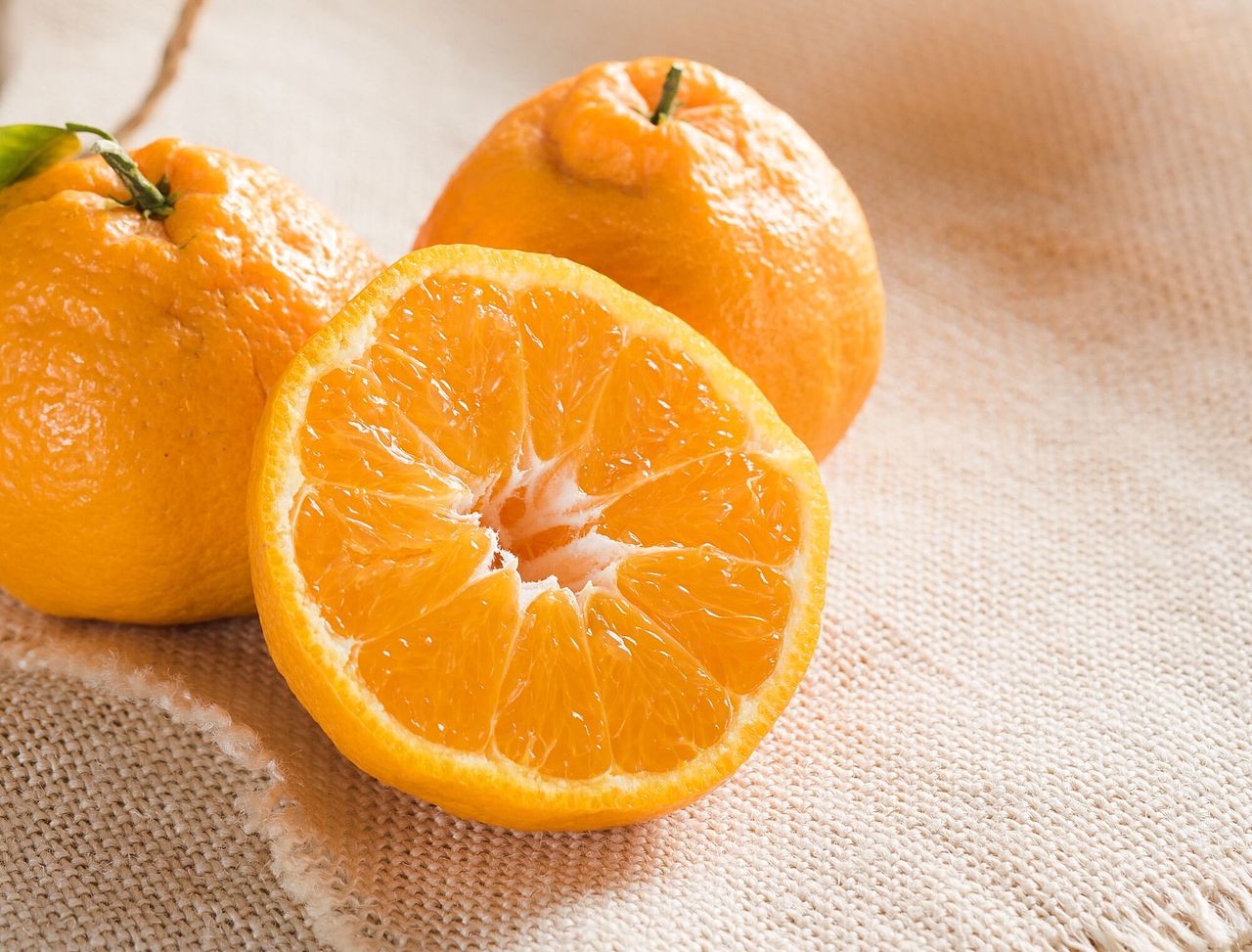 不知火丑柑|摄影|产品摄影|资阳吃货鱼藏剑_原创作品-站酷(zcool)
