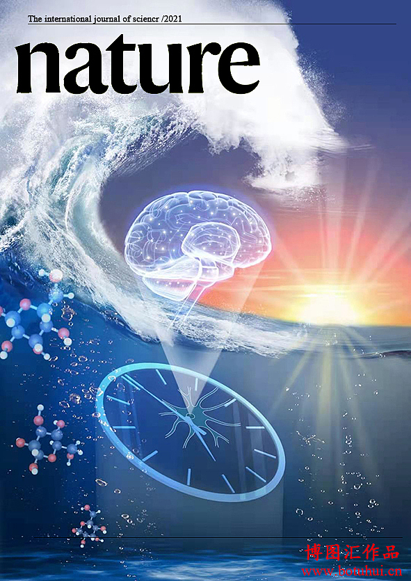 591_835竖版 竖屏