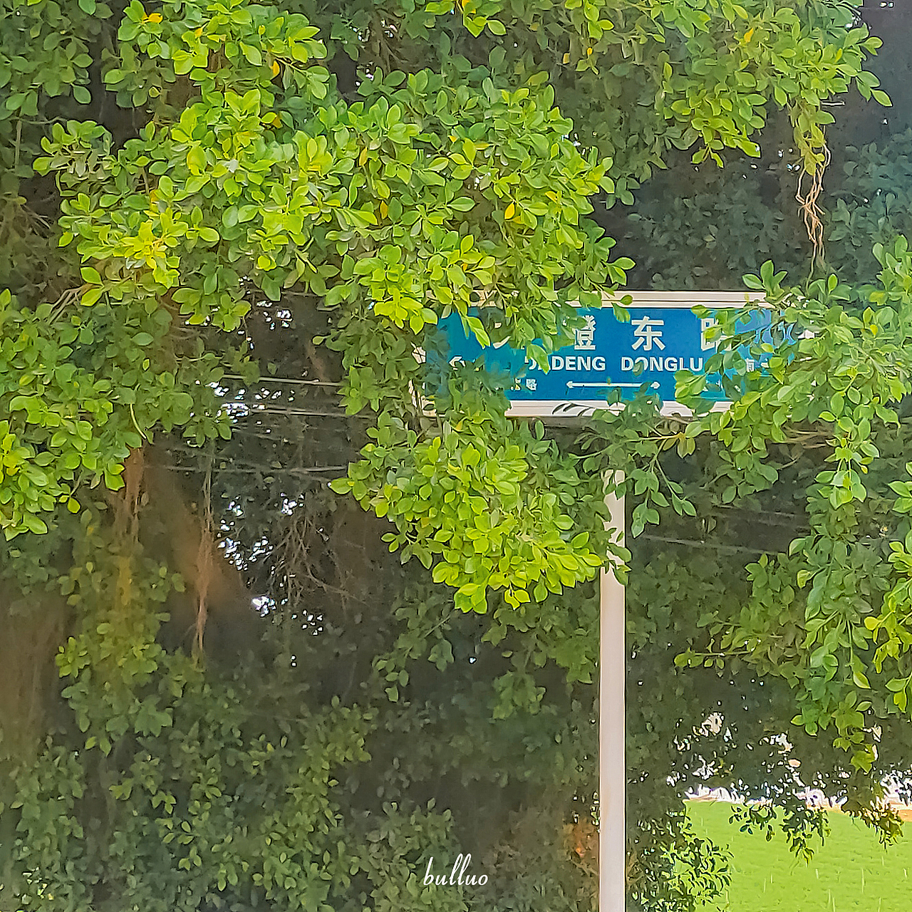 手机摄影作品7（图ZMjk5NzEwNjgw） - 风光摄影 - 站酷设计师限时救援原创素材 - 站酷ZCOOL