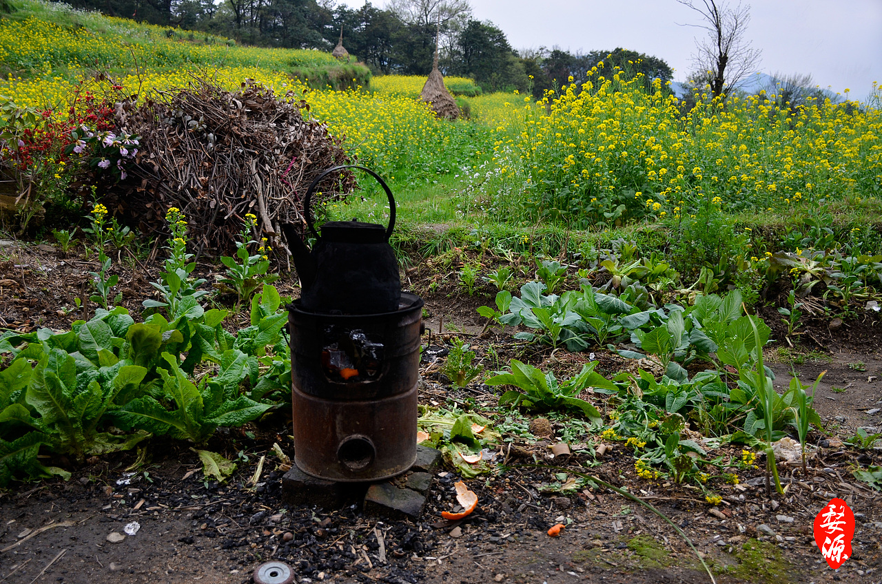 婺源（图ZMjcxOTI1MTI=） - 风光摄影 - 站酷设计师桔子供销社原创素材 - 站酷ZCOOL