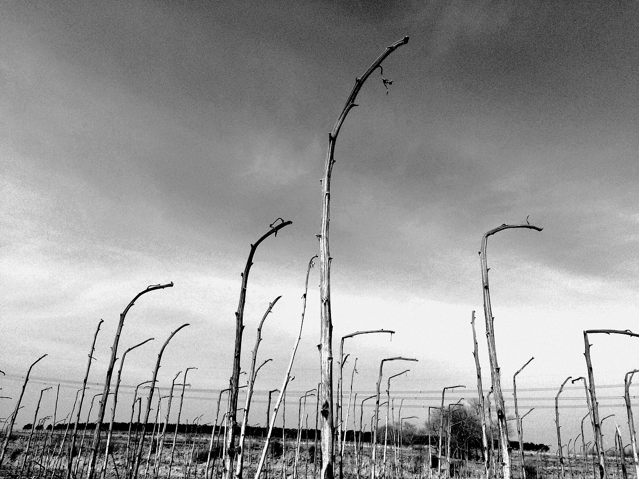 故乡（图ZMzExMjE4NDA=） - 风光摄影 - 站酷设计师王粤飞设计原创素材 - 站酷ZCOOL