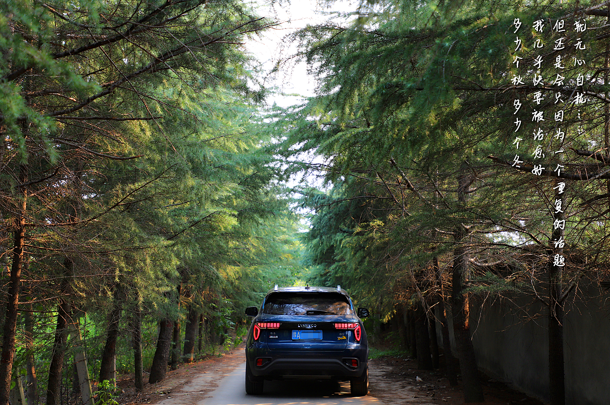 舒适（图ZMTM5OTAzNzY0） - 风光摄影 - 站酷设计师小笨孩2018原创素材 - 站酷ZCOOL