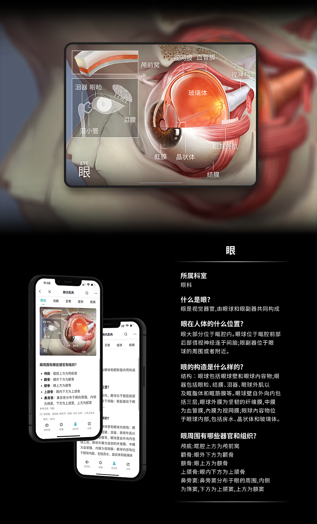 人体解剖高清海报合辑 | 医学插画（图ZMjgxNDQ5MTA0） - 商业插画 - 站酷设计师佰医绘原创素材 - 站酷ZCOOL