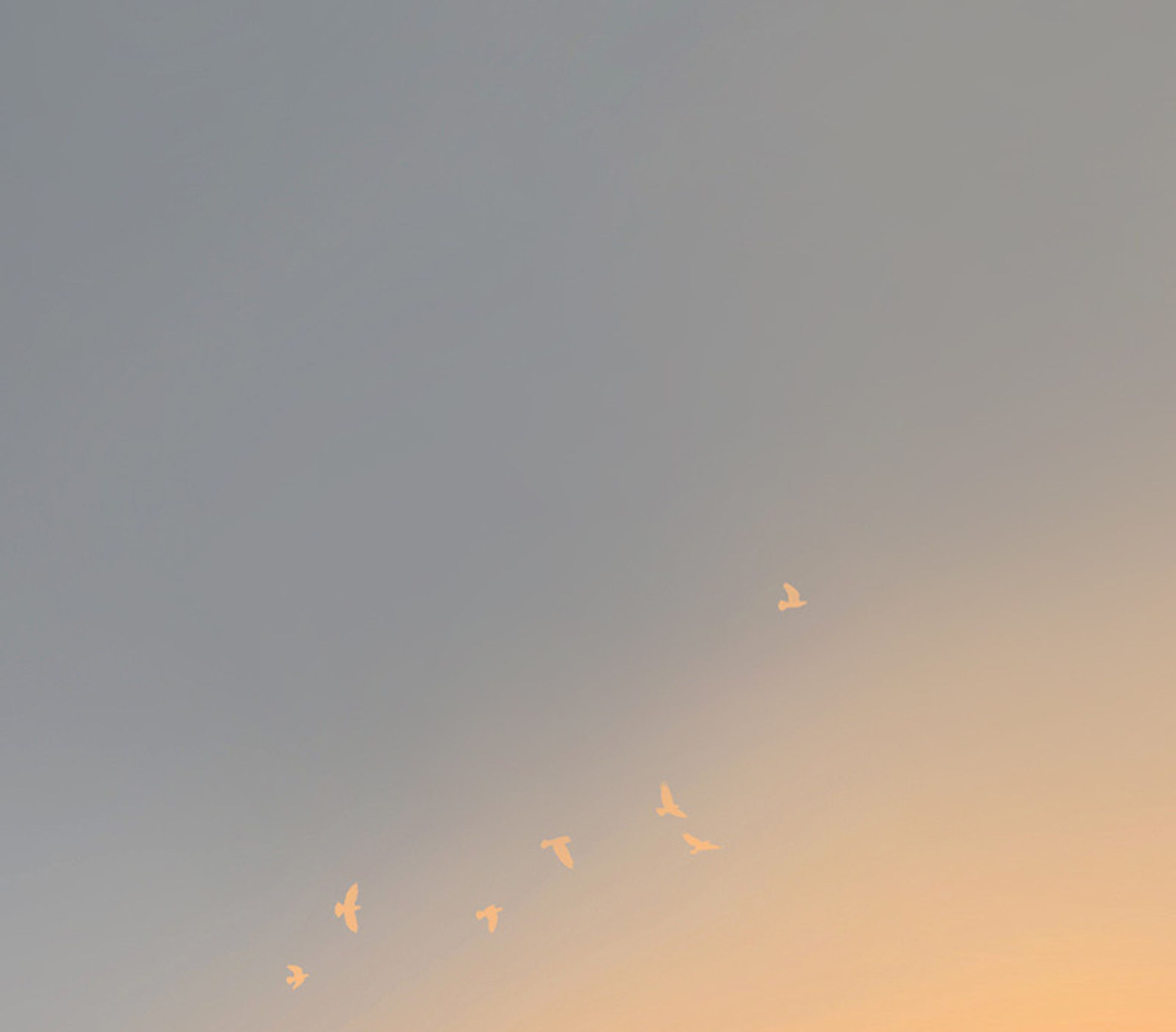 可望9的个人主页（背景预览） - 主页背景设置 - 站酷设计师可望9原创素材 - 站酷ZCOOL