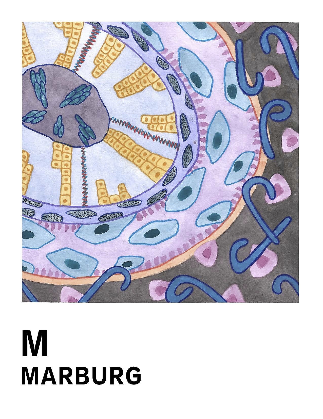 The Virus and Antidote 病毒与解药（图ZMjQ0ODk4MTcy） - 商业插画 - 站酷设计师CIBISUN原创素材 - 站酷ZCOOL