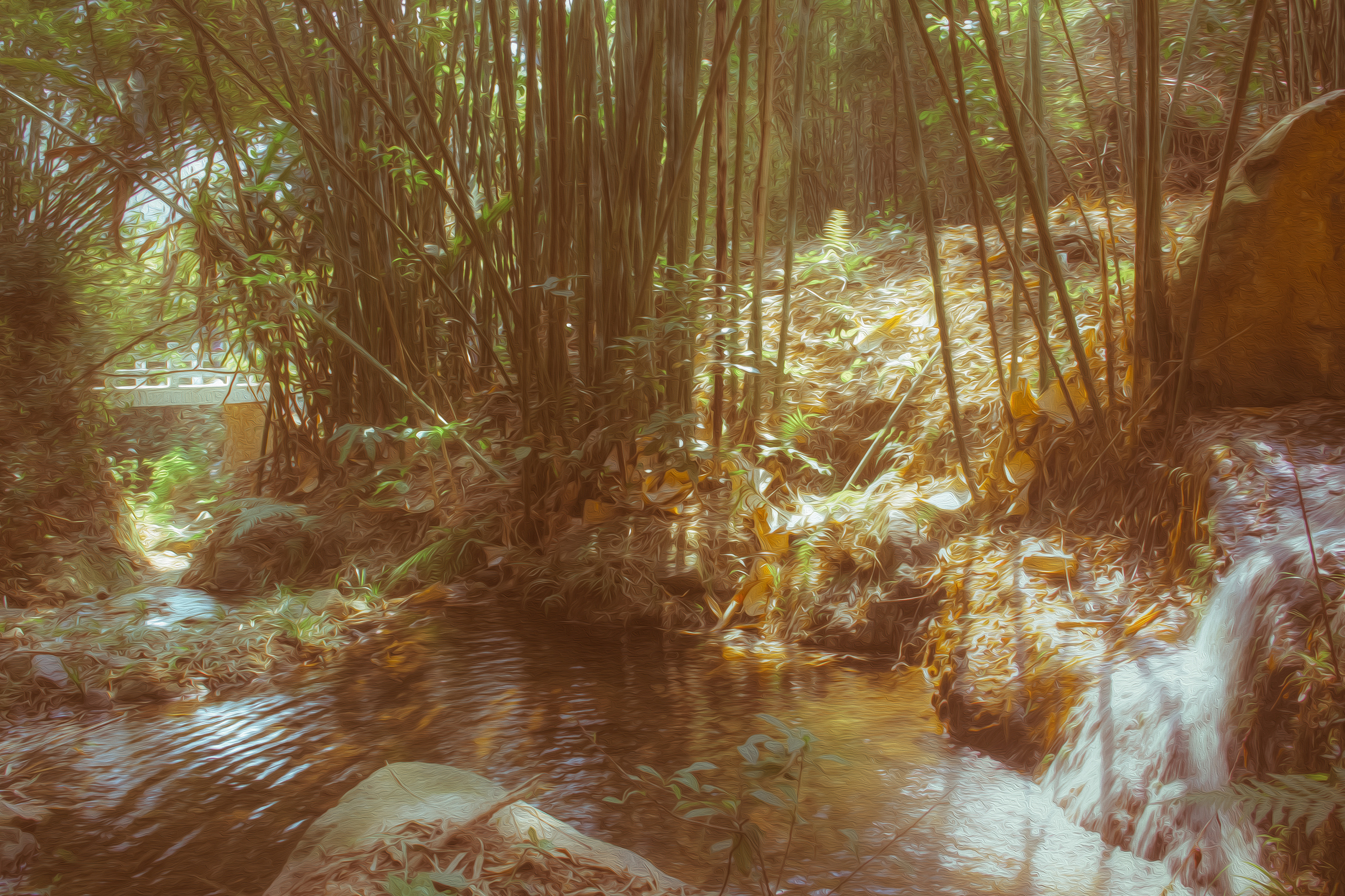 摄影--《竹林流水》