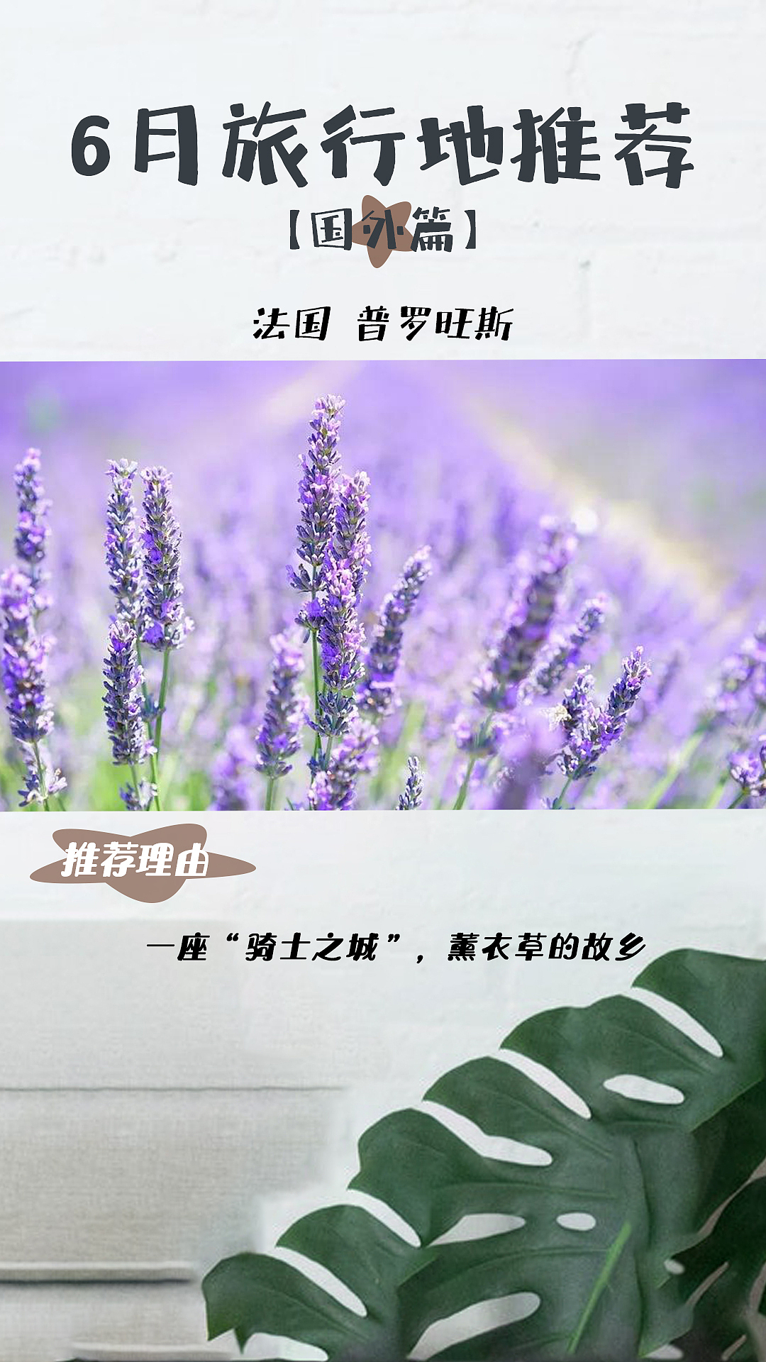 6月旅行月历(抖音)