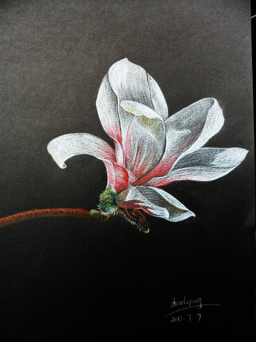 尝试在黑色卡纸上进行作画,主要是用彩铅画的,感觉细节部分画