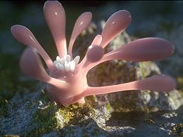 微生物互动模型场景设计