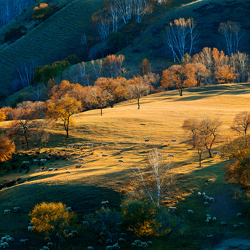 风光人文摄影后期（图ZMTc4MTI4MzY=） - 风光摄影 - 站酷设计师zengk原创素材 - 站酷ZCOOL