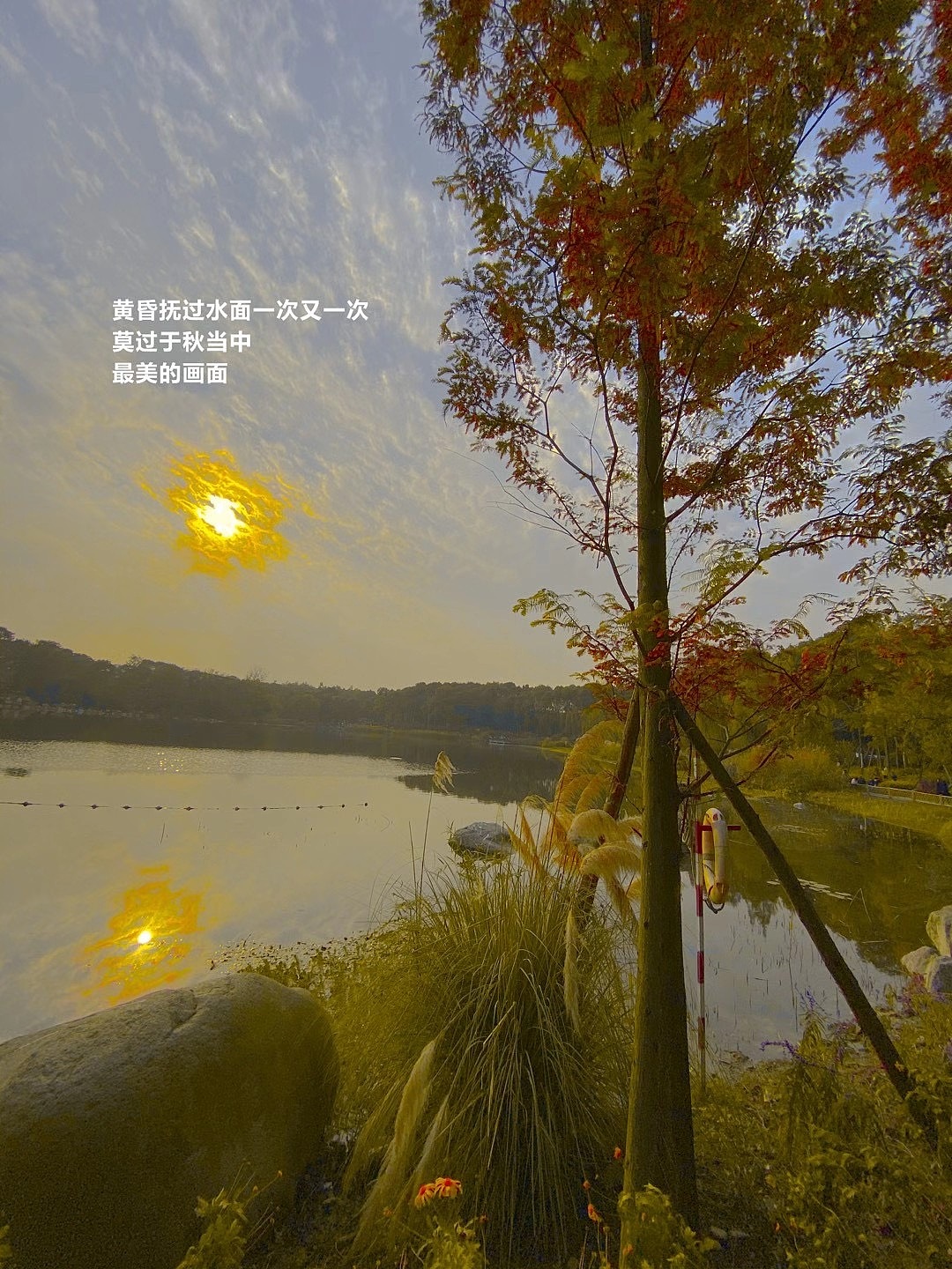 秋天的故事??（圖ZMjUwODcwODE2） - 風(fēng)光攝影 - 站酷設(shè)計(jì)師折葵J原創(chuàng)素材 - 站酷ZCOOL