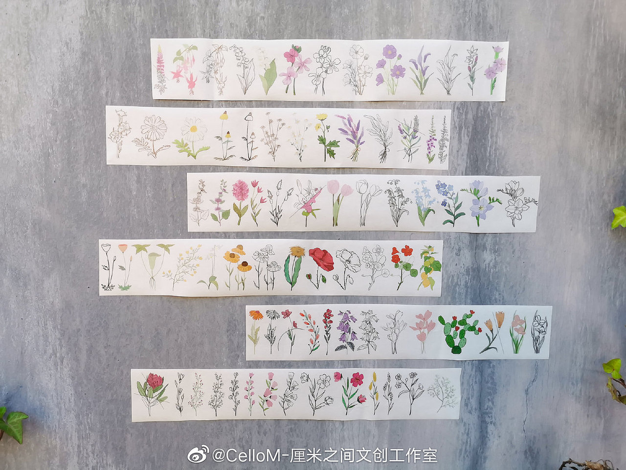 植物花卉纸胶带（图ZMjMzMjA1MzIw） - 商业插画 - 站酷设计师闫小婷原创素材 - 站酷ZCOOL