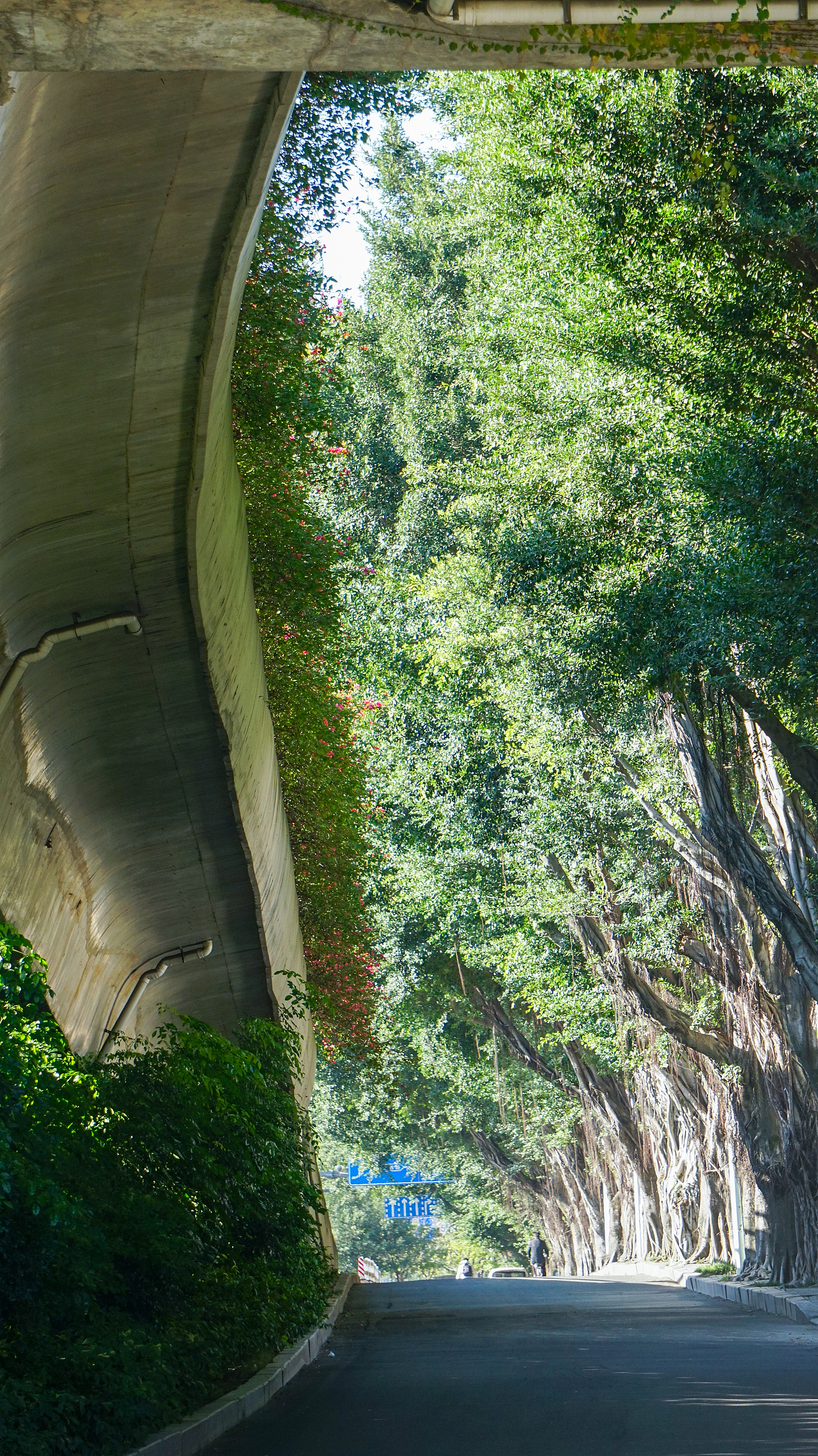 福州扫街221218（图ZMzI1ODA0NDQ0） - 人文/纪实摄影 - 站酷设计师炭烤旺旺原创素材 - 站酷ZCOOL