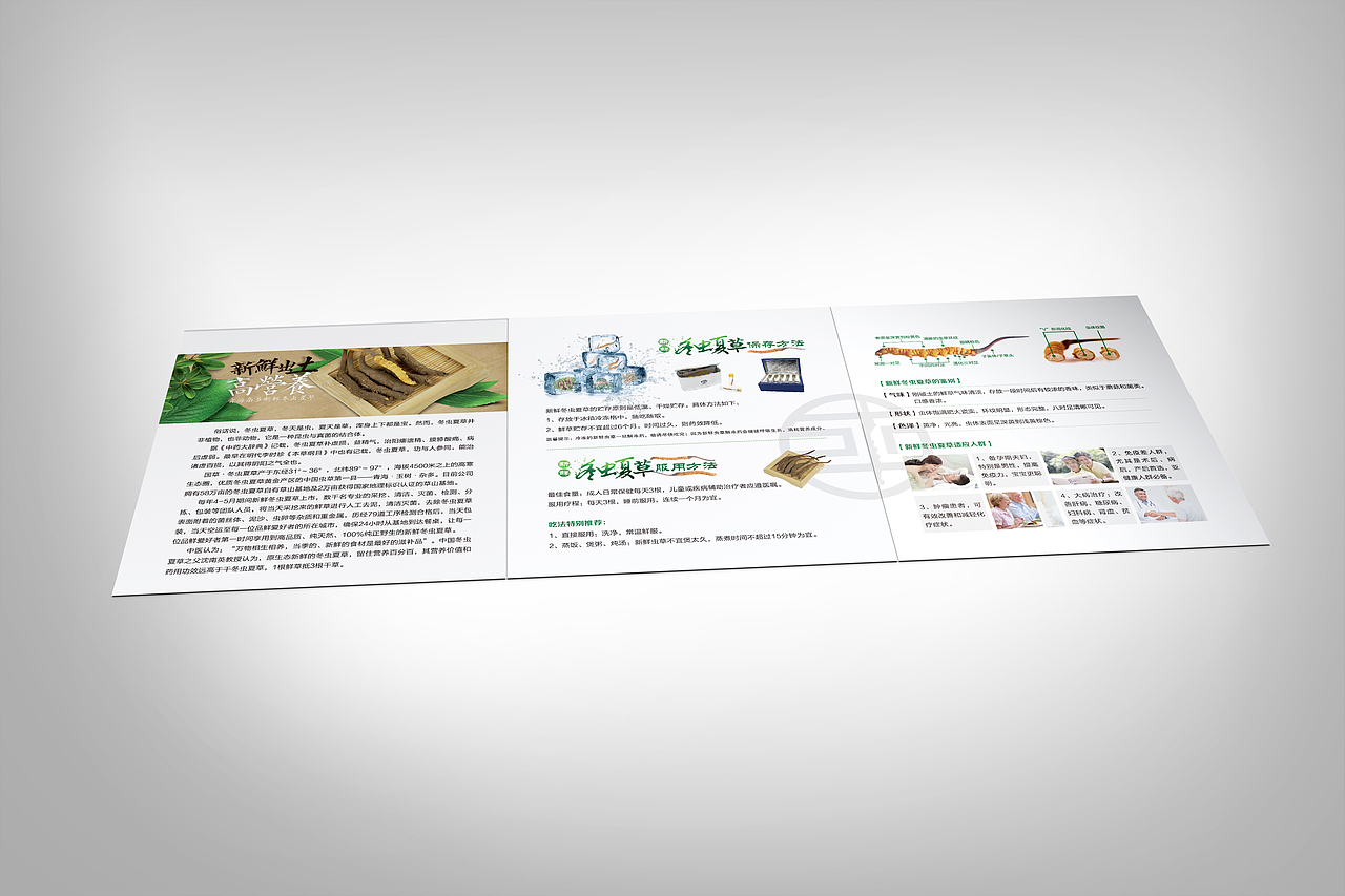 鲜草三折页设计