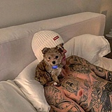 吃不胖的肥牛的头像