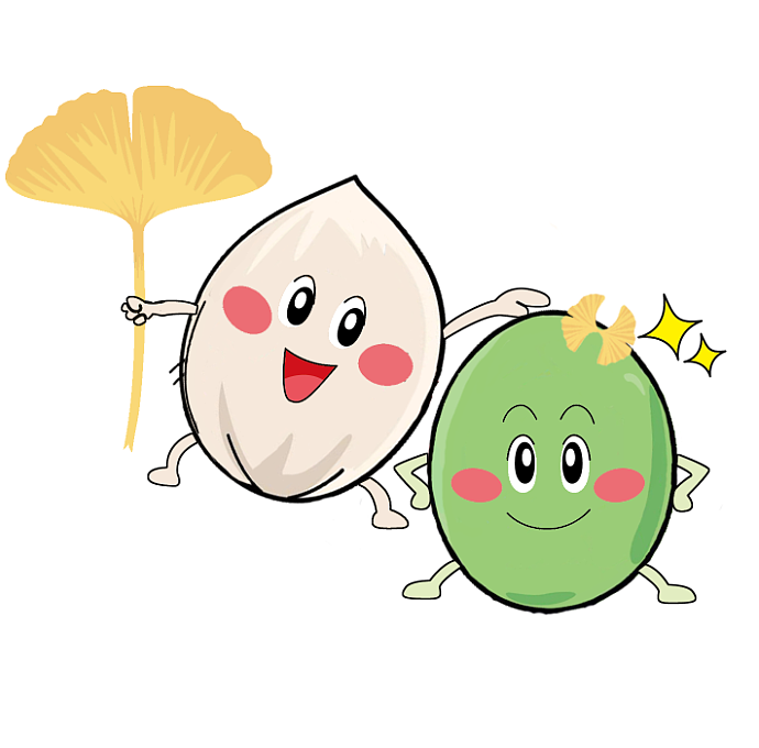 银杏宝宝（图ZMjEzMzc3Mzc2） - 宣传物料 - 站酷设计师耿荣华原创素材 - 站酷ZCOOL