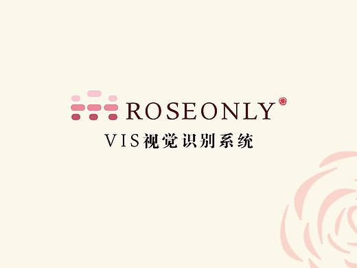 vi视觉识别系统