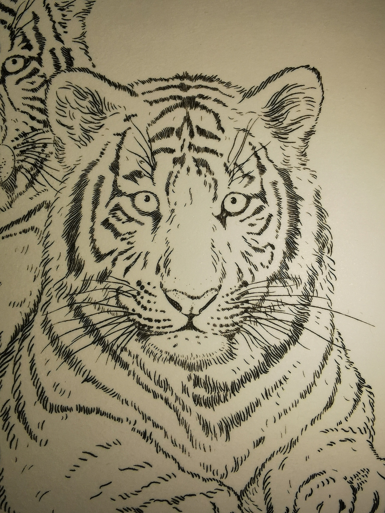 凹版雕刻《壬寅虎》