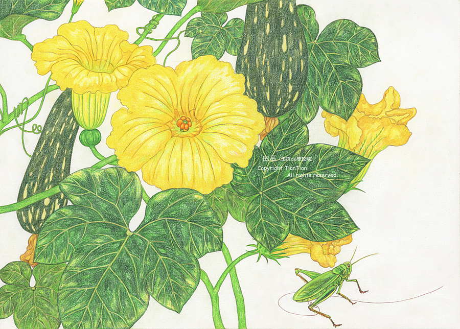 绘本《我和祖父的园子》(三)