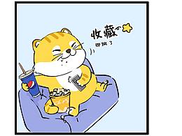 虎喵日常