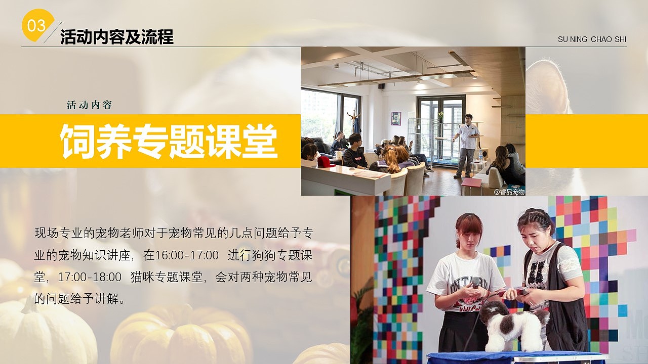 苏宁宠物相亲节（图ZMjg2OTUwMDA4） - 其他 - 站酷设计师策划米饭原创素材 - 站酷ZCOOL