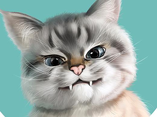 猫咪