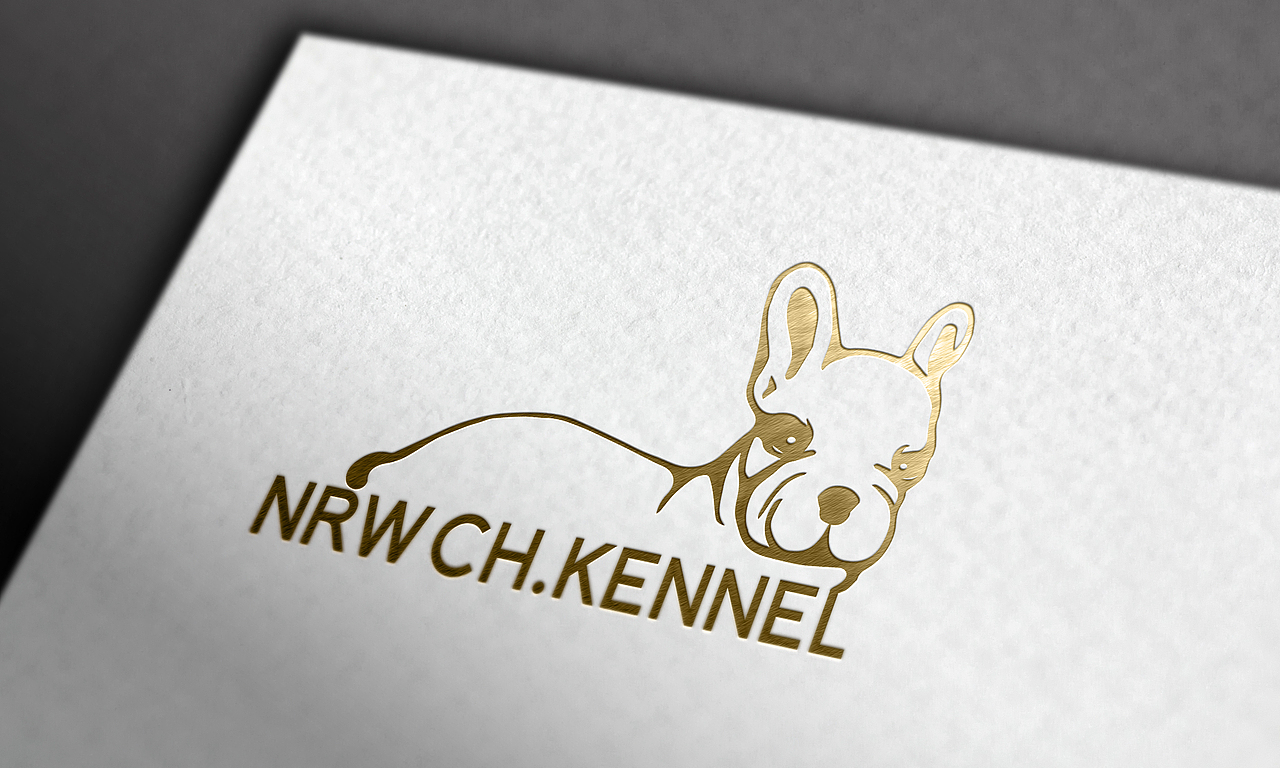 法国斗牛犬logo设计|平面|品牌|山河兄_原创作品-站酷zcool