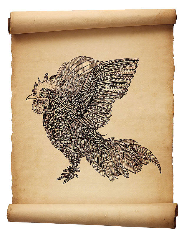 站斗鸡（图ZNzQ5NjMzMzI=） - 创作习作 - 站酷设计师葆光设计原创素材 - 站酷ZCOOL