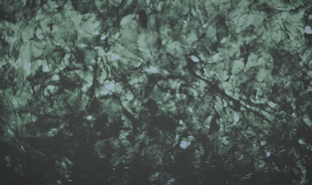 猜猜这个是什么,猜到送个男人