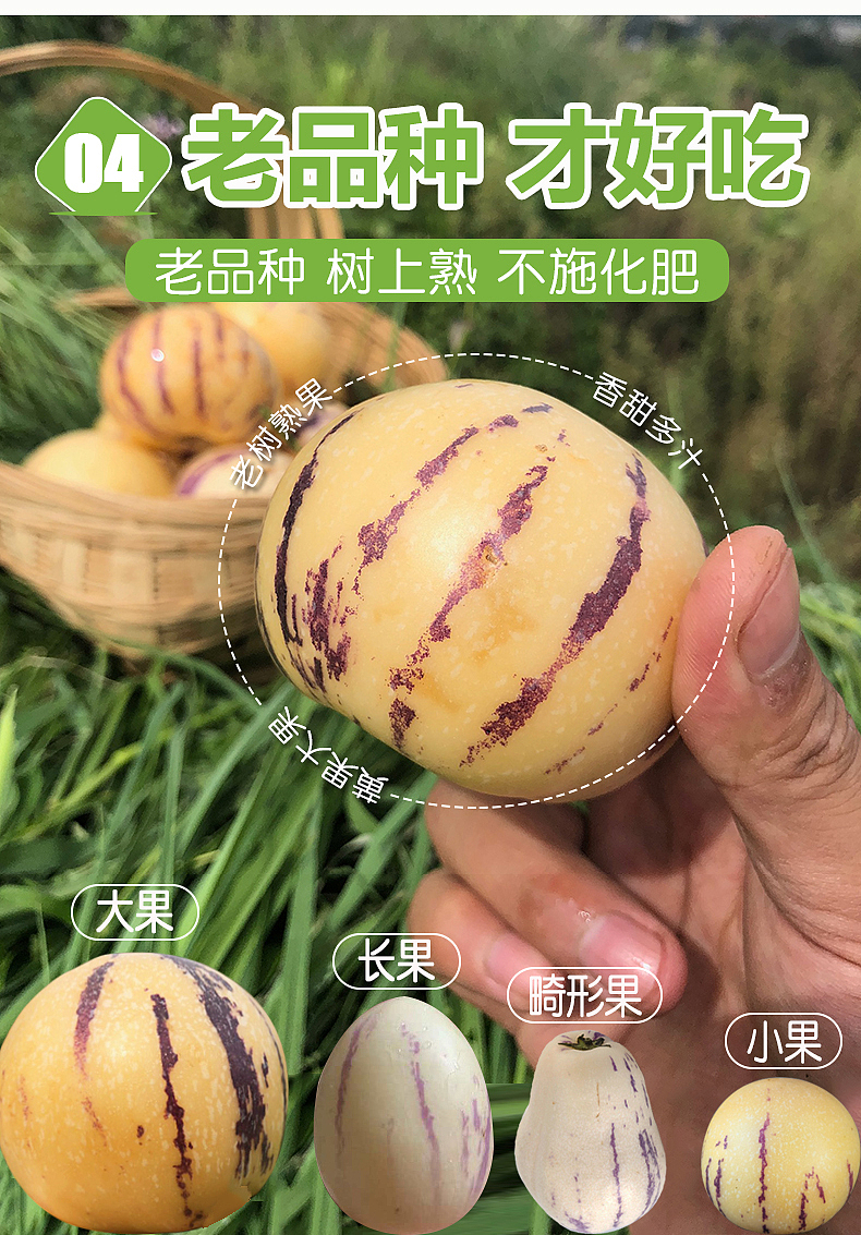 人参果详情页