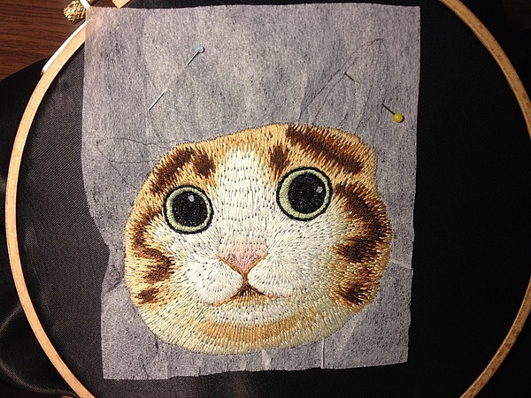 其实这是瓜皮猫。。。我真的没脸说。。。（图ZMjE1OTExNjA=） - 工艺品设计 - 站酷设计师0_0hajime原创素材 - 站酷ZCOOL