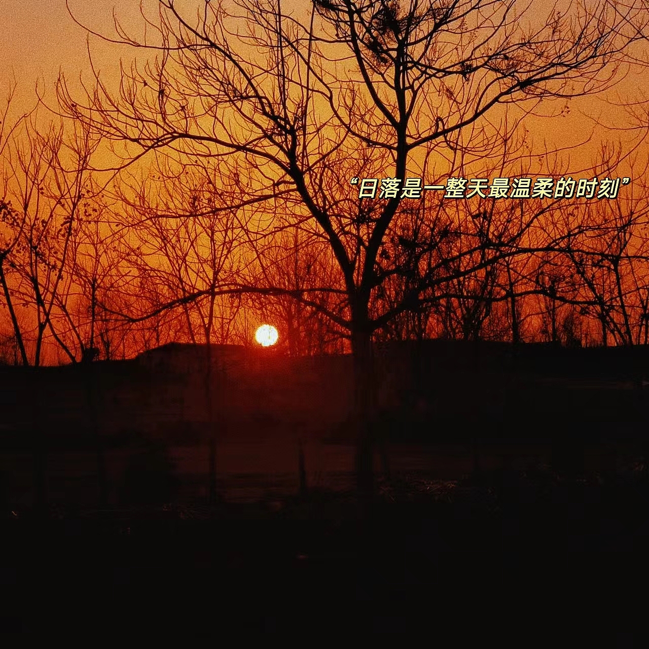 日落的温柔