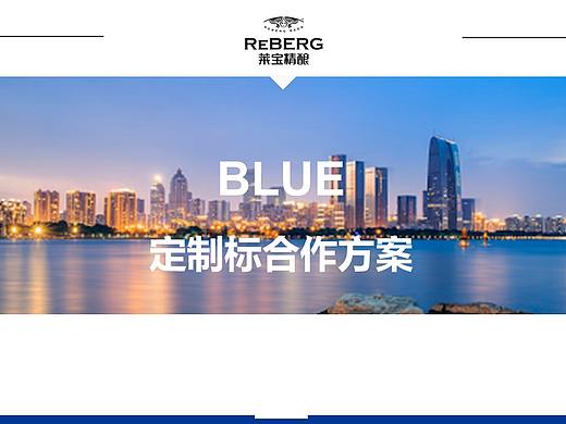精酿啤酒定制设计方案