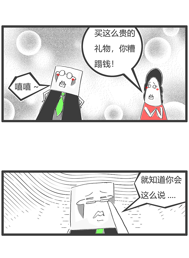 在回家的路上,买了个很贵的包