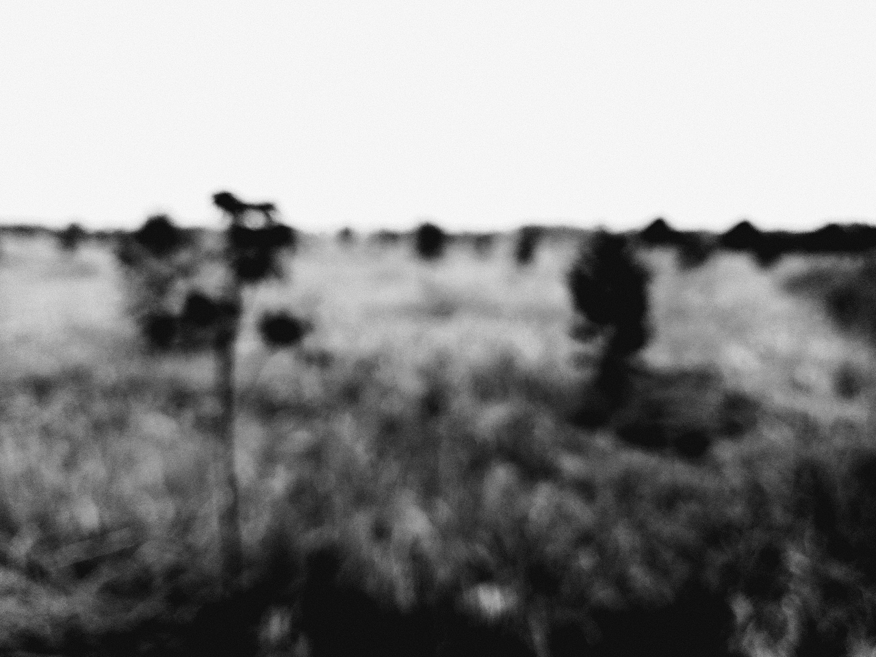 无题（图ZODk5OTIwMDg=） - 其他摄影 - 站酷设计师小隐西亭原创素材 - 站酷ZCOOL