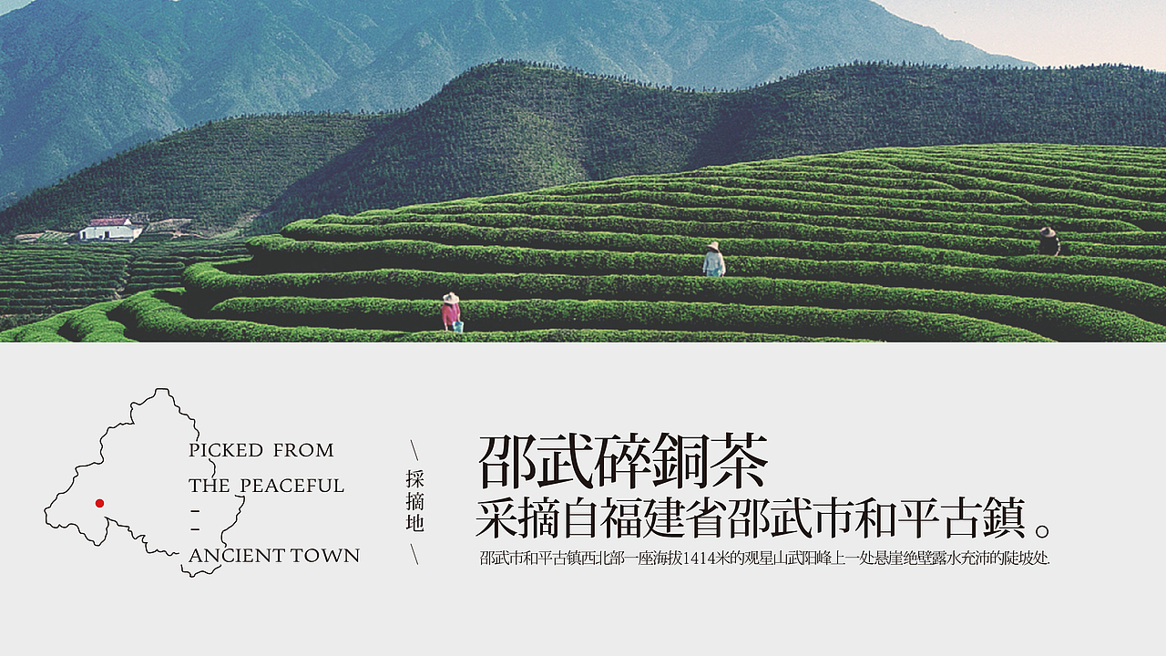 鲸鱼文创 / 邵武碎铜茶设计