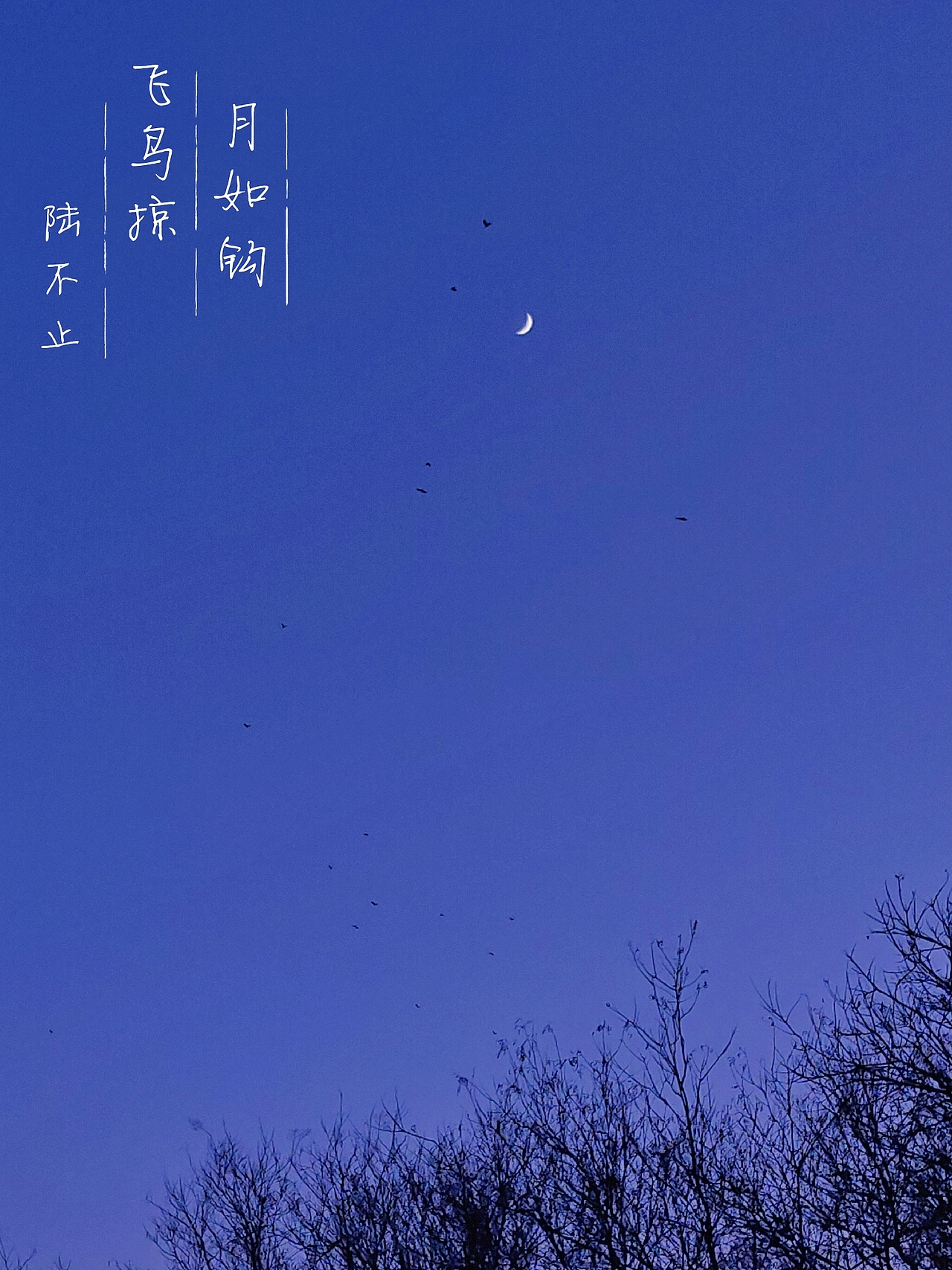 摄影 | 身边景（图ZMTkzMTUxNjAw） - 风光摄影 - 站酷设计师陆不止原创素材 - 站酷ZCOOL