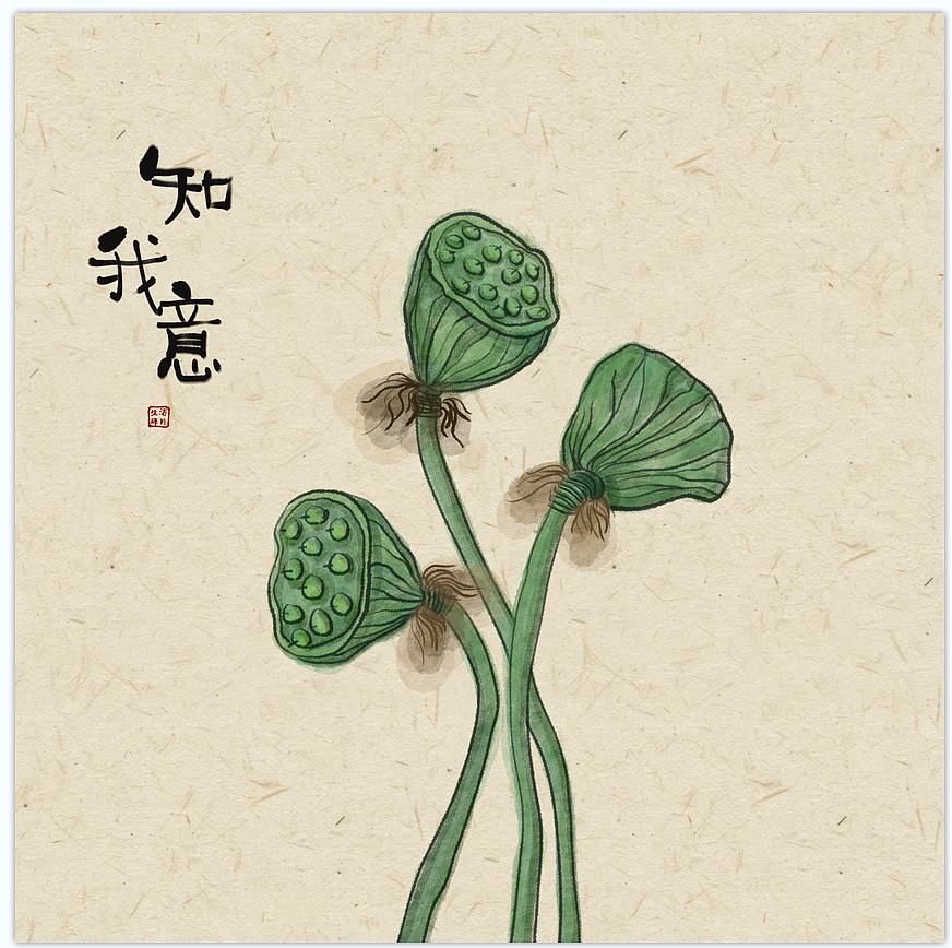 新中式荷花莲蓬插画