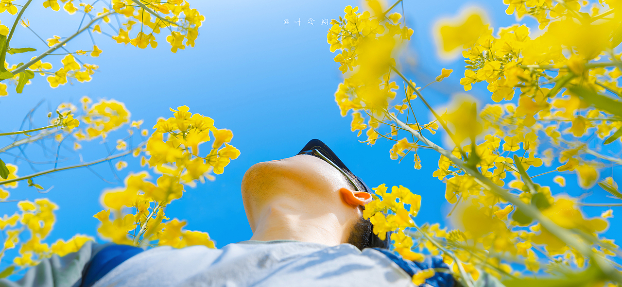 在东荆河畔找寻春（图ZMjkzNDkyMDY0） - 风光摄影 - 站酷设计师叶念翔原创素材 - 站酷ZCOOL