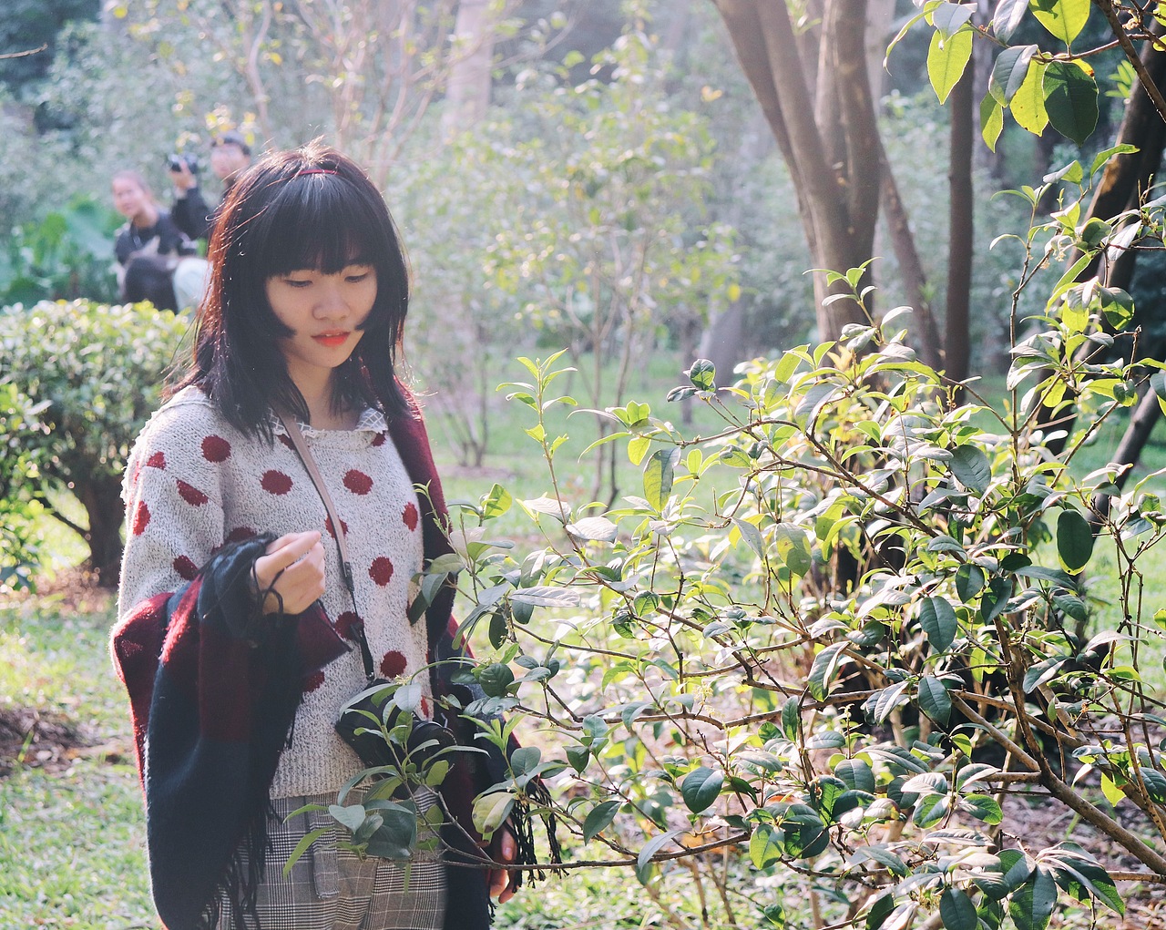 阳光下不同的态度——人物