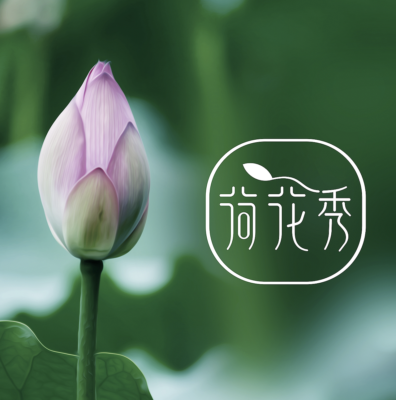 郑州本质品牌案例 ‖ 【荷花秀】品牌形象设计（图ZMjcwOTY0MDE2） - 品牌 - 站酷设计师本质品牌设计原创素材 - 站酷ZCOOL