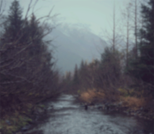 deer（图ZNTUxMTkxMDA=） - 海报 - 站酷设计师demoswang原创素材 - 站酷ZCOOL