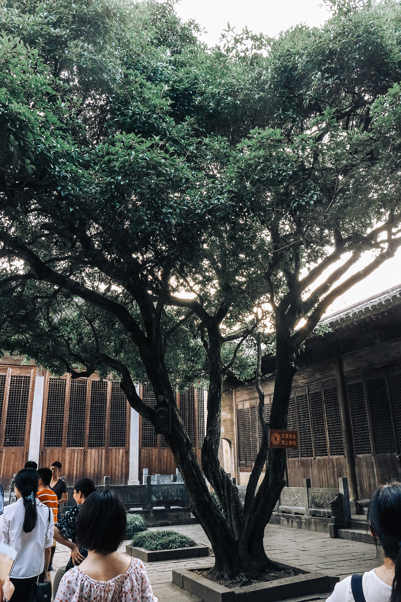 黄山呈坎-老街-齐云山 摄影（图ZMTI1MjI5MzMy） - 人文/纪实摄影 - 站酷设计师Zhizz原创素材 - 站酷ZCOOL