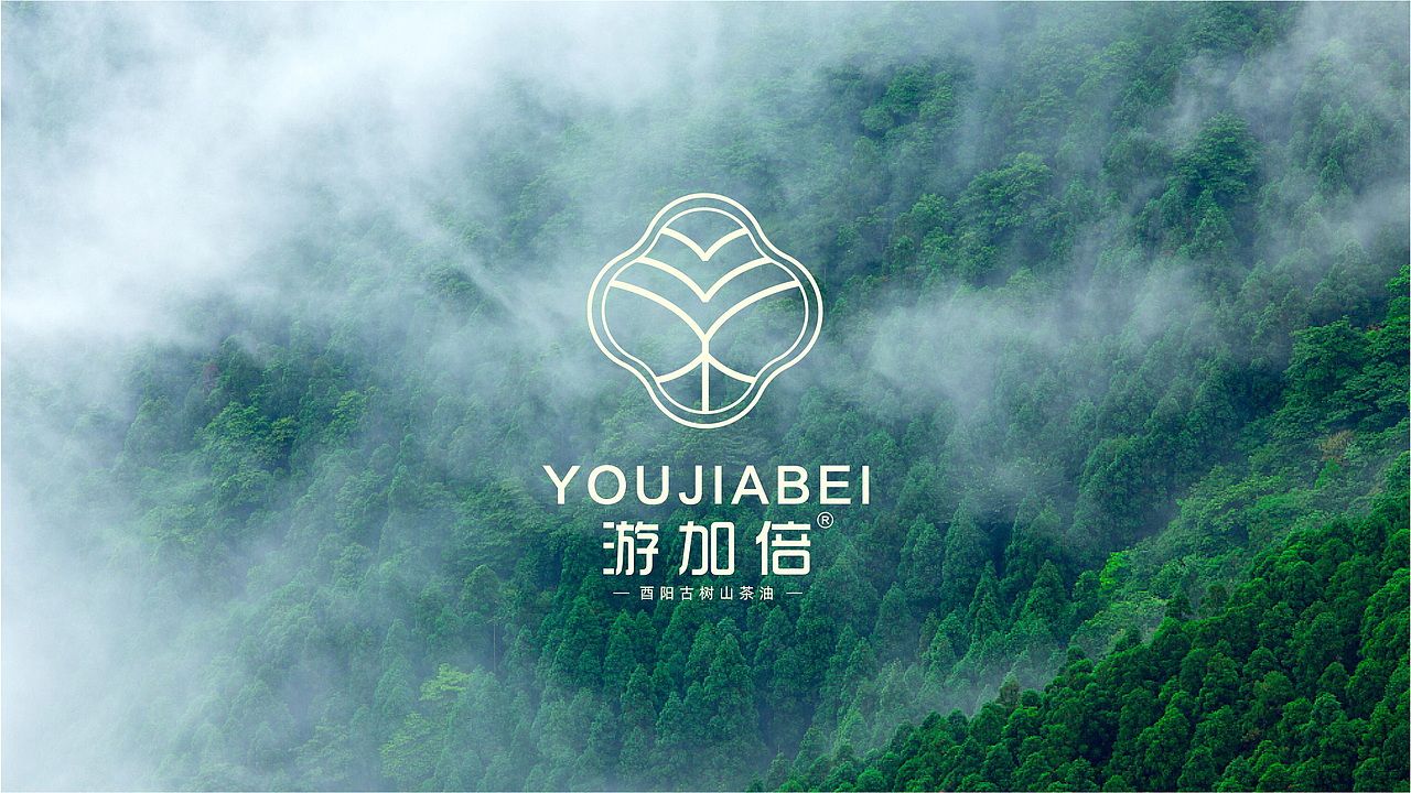 游加倍(中国)古树山茶油品牌全案策划设计