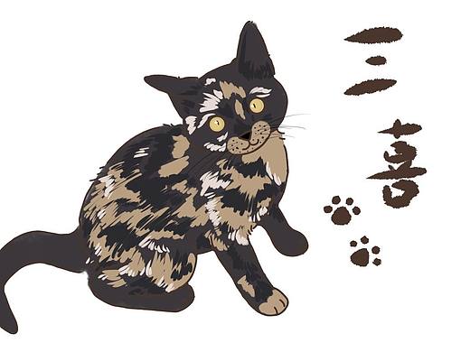 三喜～猫儿