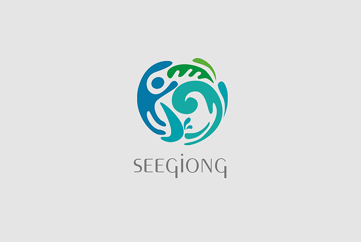 seegiong品牌形象设计