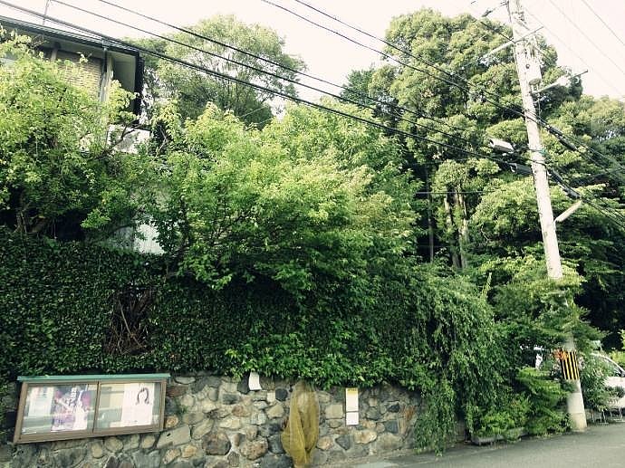 靠着我们宿舍的一户人家