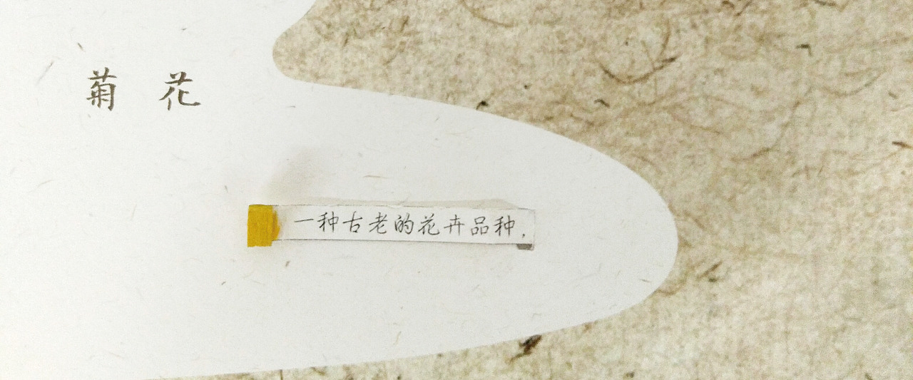 手工装帧 -“采菊”书籍设计