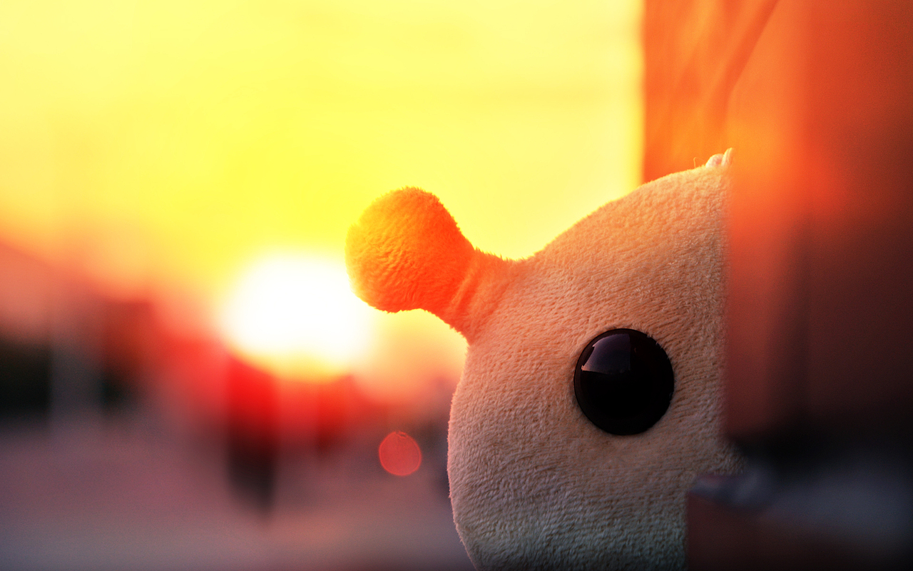 蜗弟毛绒公仔摄影作品原创分享9张