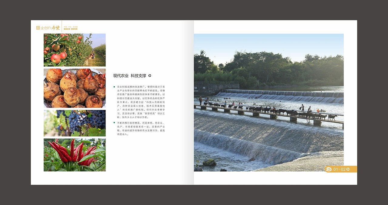 金色的希望 乡镇 画册（图ZMzYzNTc4NDQ=） - 书籍/画册 - 站酷设计师fxy216ccc原创素材 - 站酷ZCOOL